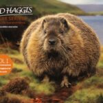 WILD HAGGIS Haggis Wildlife Foundation nature series: Unravelling the Mysteries