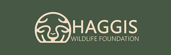 HAGGIS WILDLIFE FOUNDATION