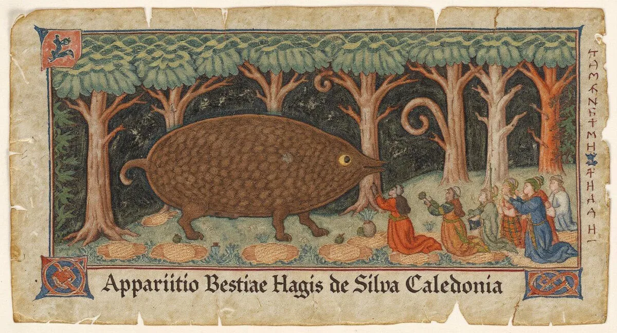 The Ancient History of the Wild Haggis animal