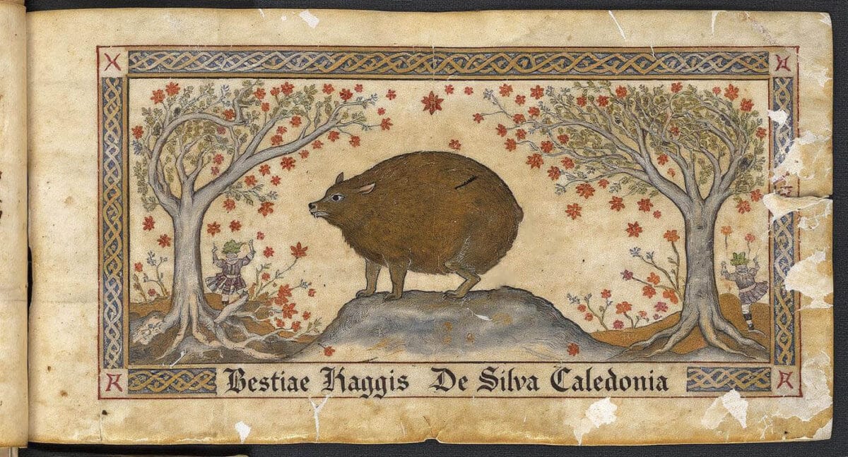 Unraveling the Mystery: Is the Haggis Real or Imaginary?