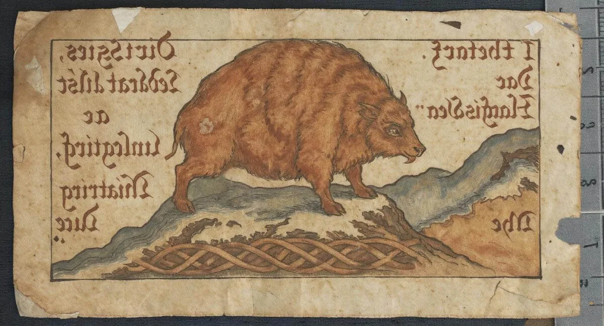 ancient pages of a old middle ages scottish manuscript, where the elusive Scottish haggis with 3 legs roams free.