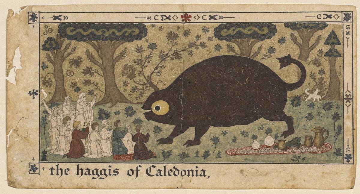 Ancient History of Wild Haggis Animal