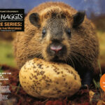 Wild Haggis and the Conservation Chronicles