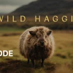 Wild Haggis Episode One