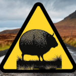 Haggis Hunting Rules and Regulations