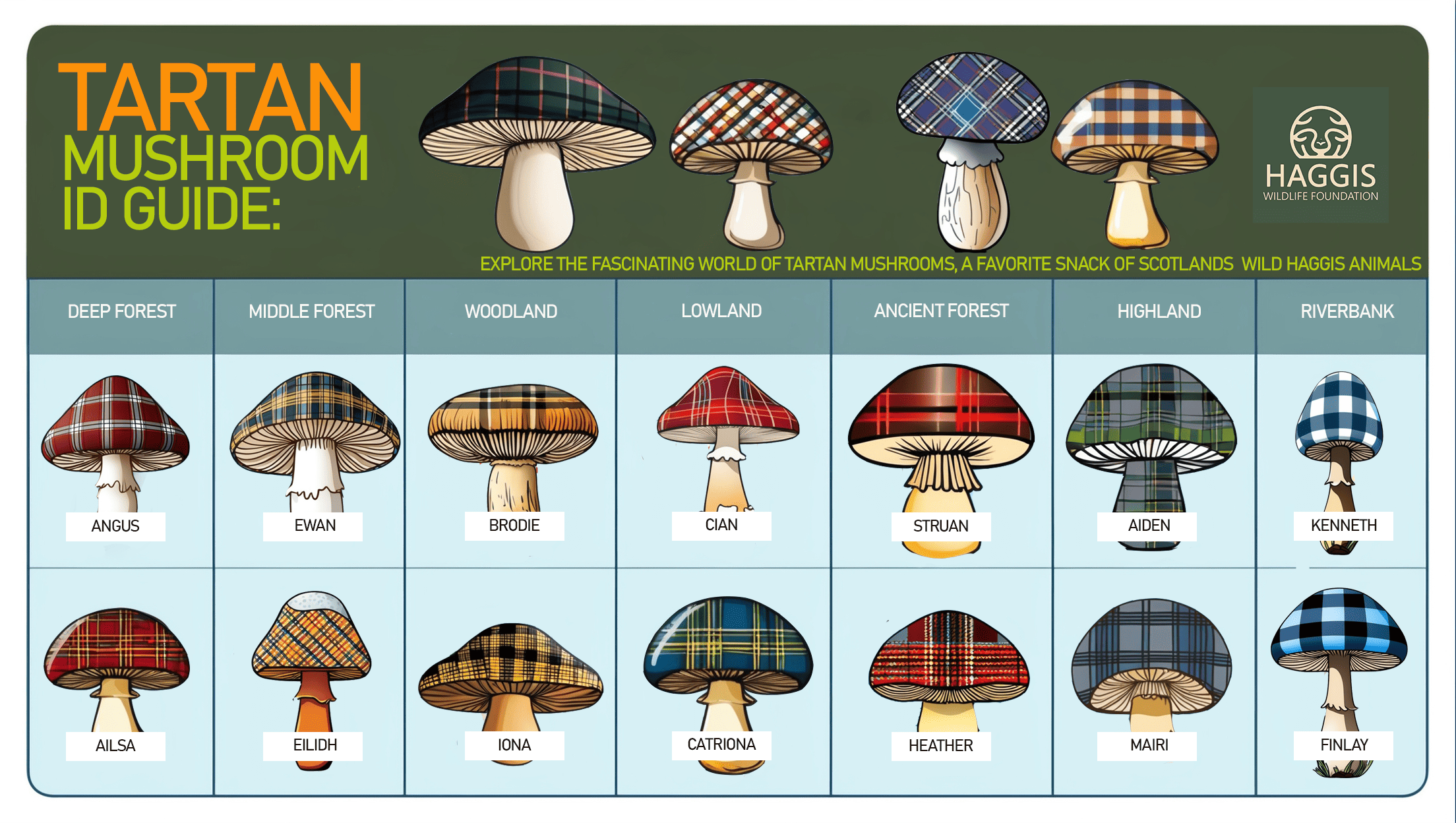 The Tartan Mushroom ID Guide