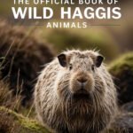 BOOK OF SCOTTISH HAGGIS ANIMALS