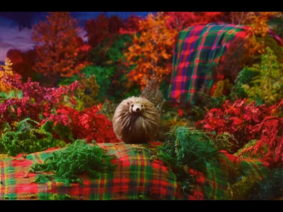 Haggis Animals A Whimsical Adventure