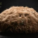 Wild Haggis: Rounding Season