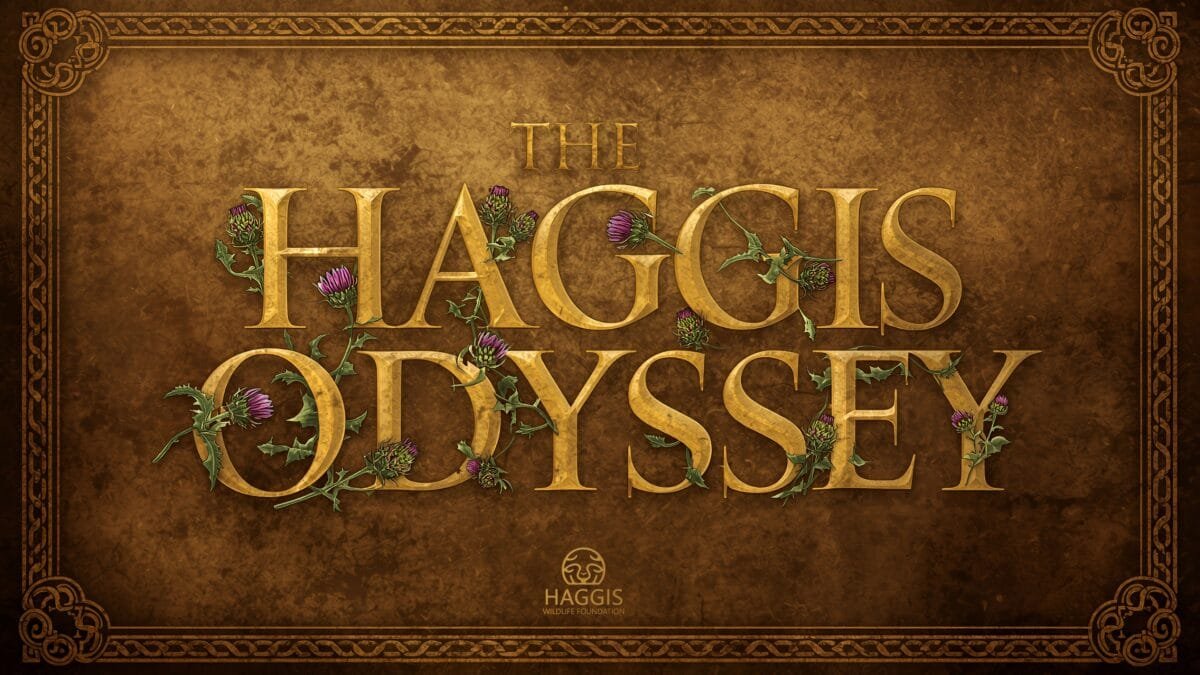 Haggis Odyssey