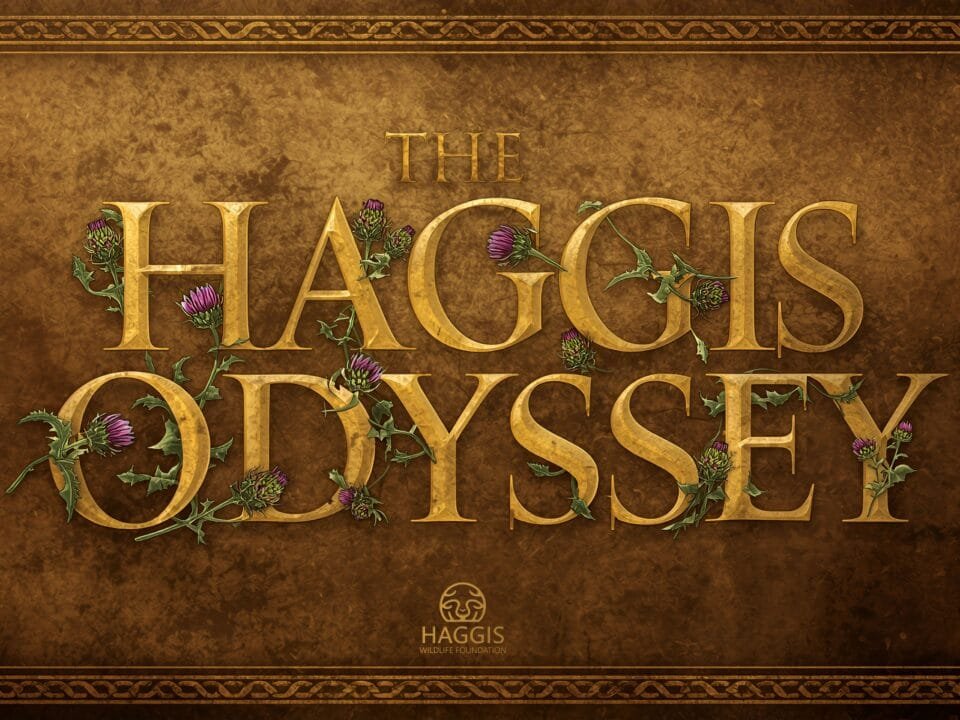 Haggis Odyssey