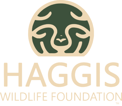 THE HAGGIS WILDLIFE FOUNDATION LOGO