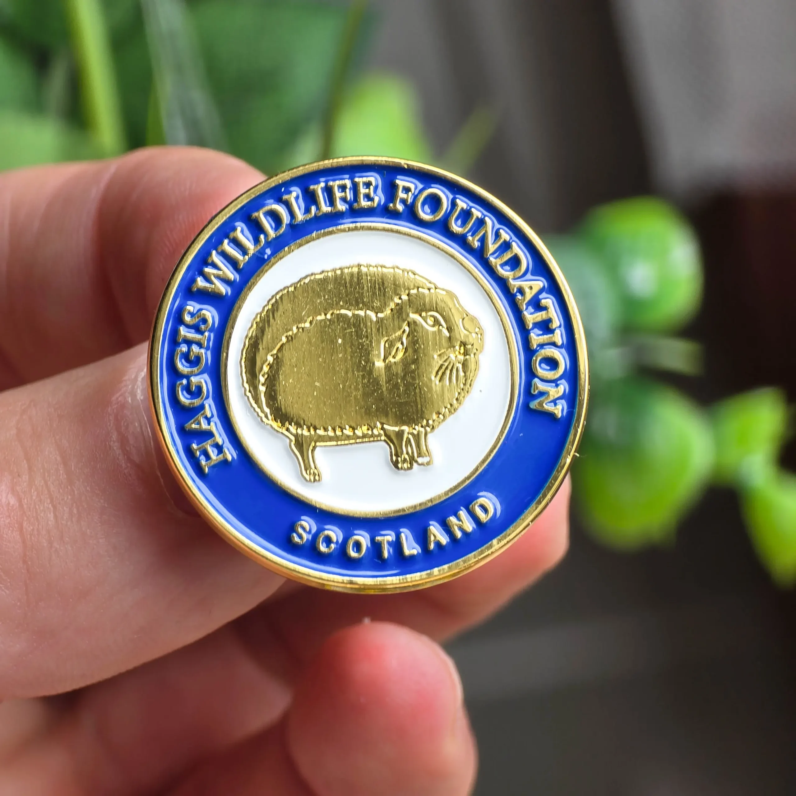 Scottish Wild Haggis Pin