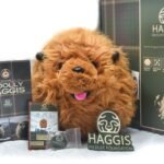 Wild Haggis Toy Scottish Gift Box