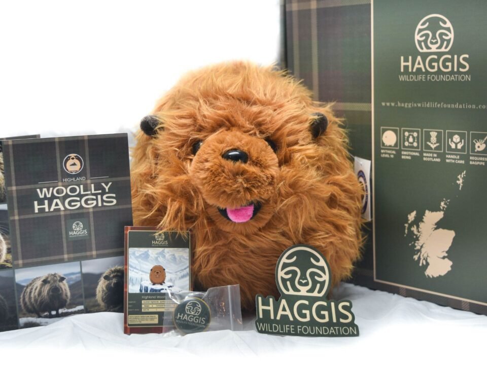 Wild Haggis Toy Scottish Gift Box
