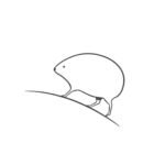 Scottish Wild Haggis