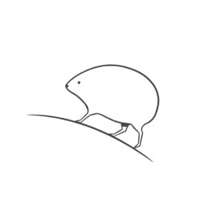 scotlands wild haggis animal drawing