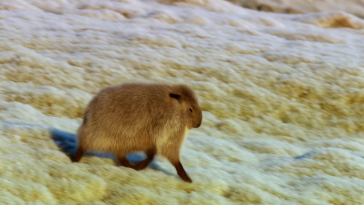 Is a Wild Haggis Real?