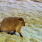 Is a Wild Haggis Real?