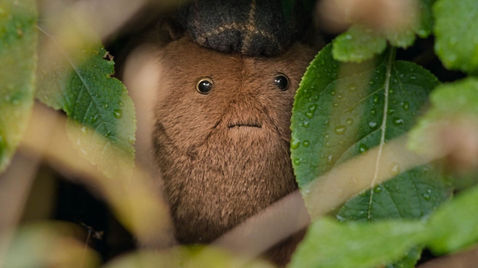 garden haggis