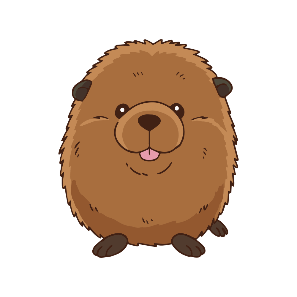 category icon