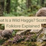 What Is a Wild Haggis Scottish Folklore Explained