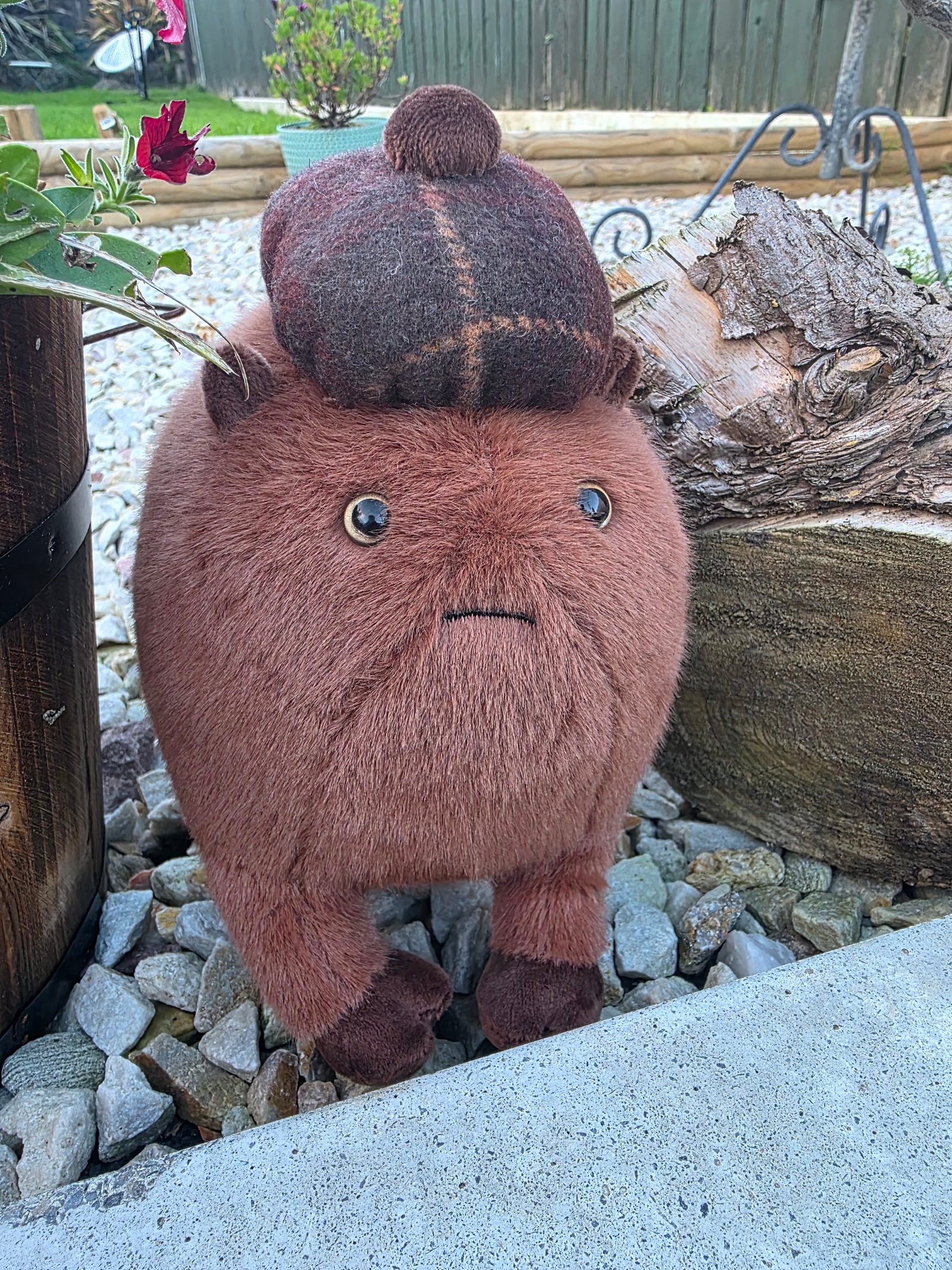 A well travelled haggis